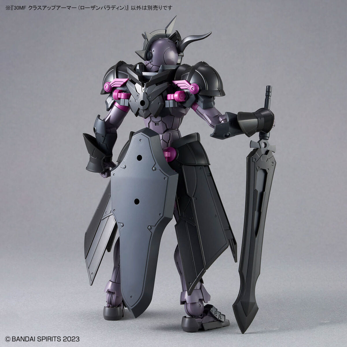30MF CLASS UP ARMOR - ROSAN PALADIN