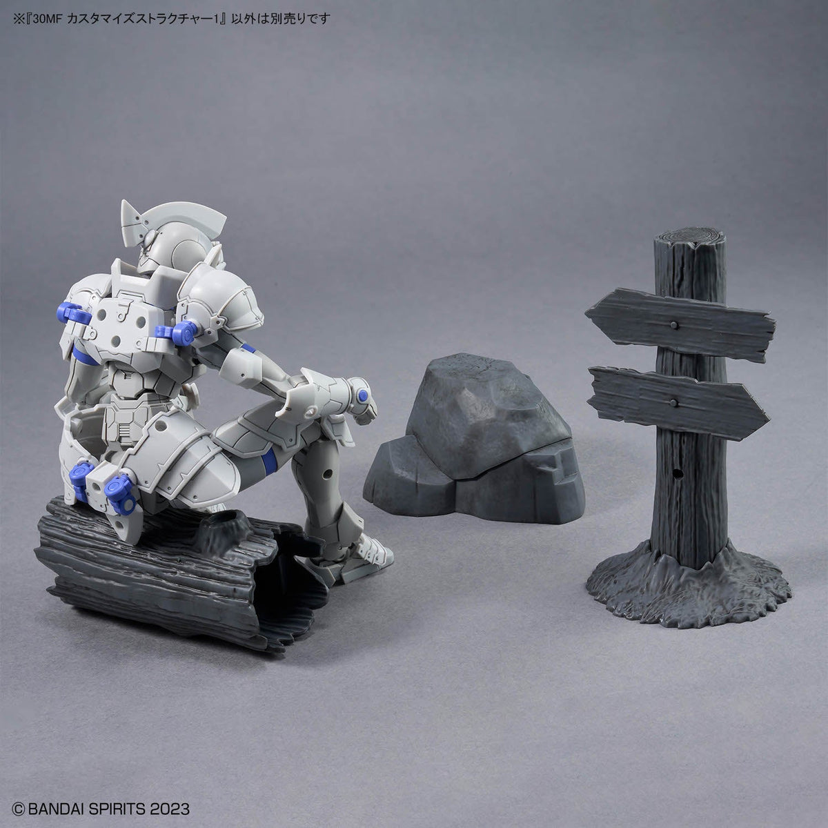 30MF CUSTOMIZE STRUCTURE 1