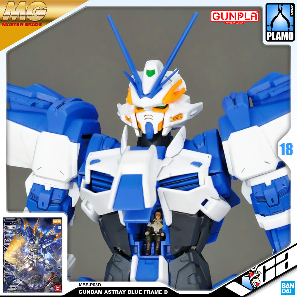MG GUNDAM ASTRAY BLUE FRAME D