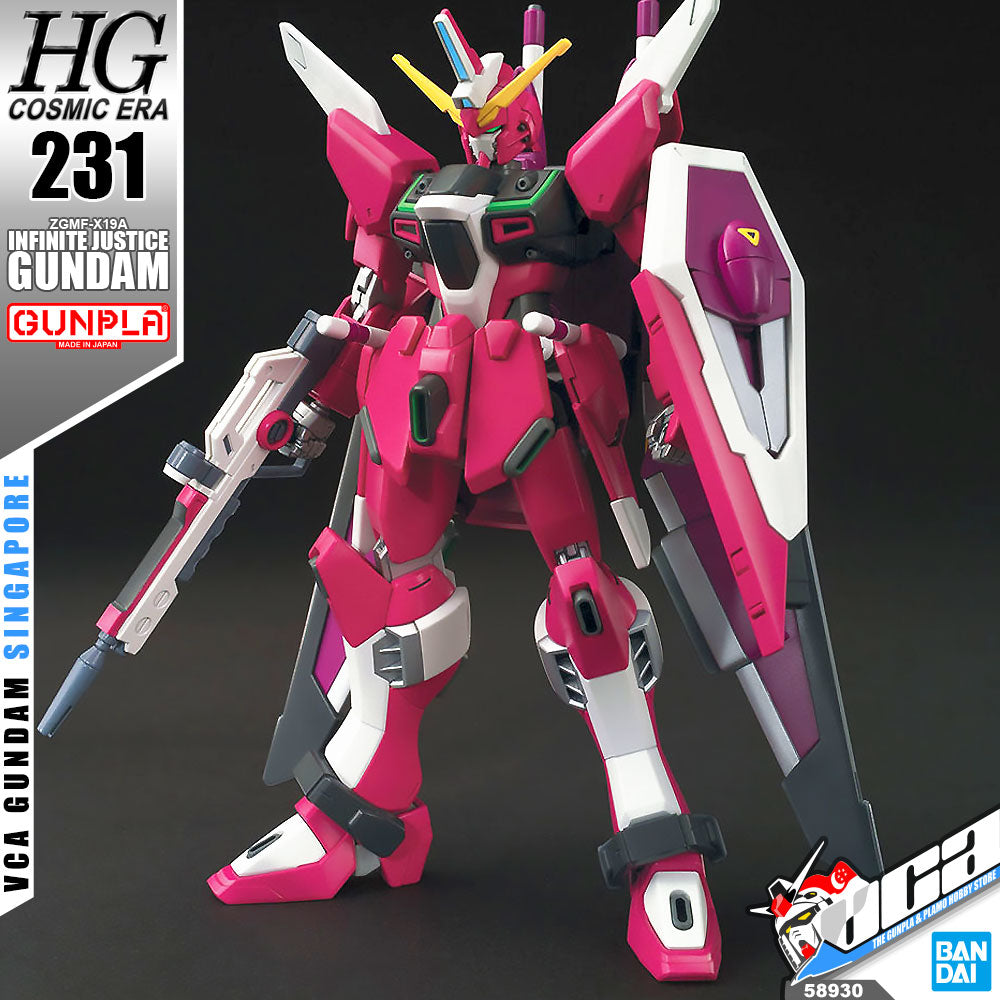 HG INFINITE JUSTICE GUNDAM (COSMIC ERA)