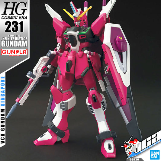 HG INFINITE JUSTICE GUNDAM (COSMIC ERA)